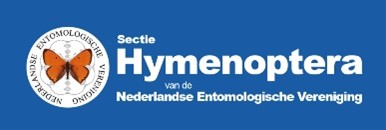 Logo Hymenoptera