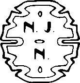 Logo NJN